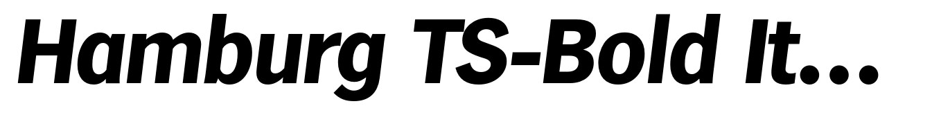 Hamburg TS-Bold Italic
